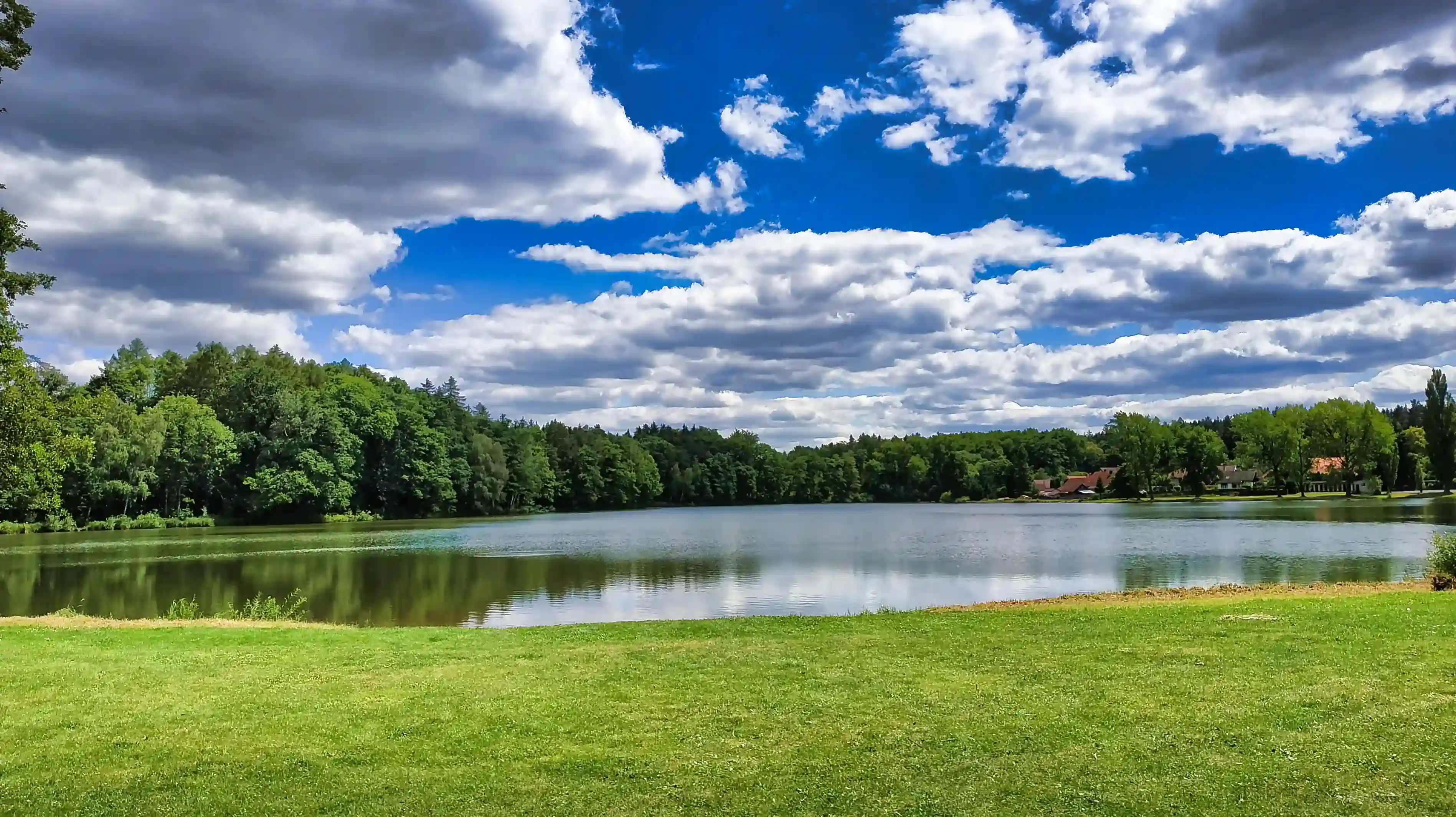 Zbýšovský rybník