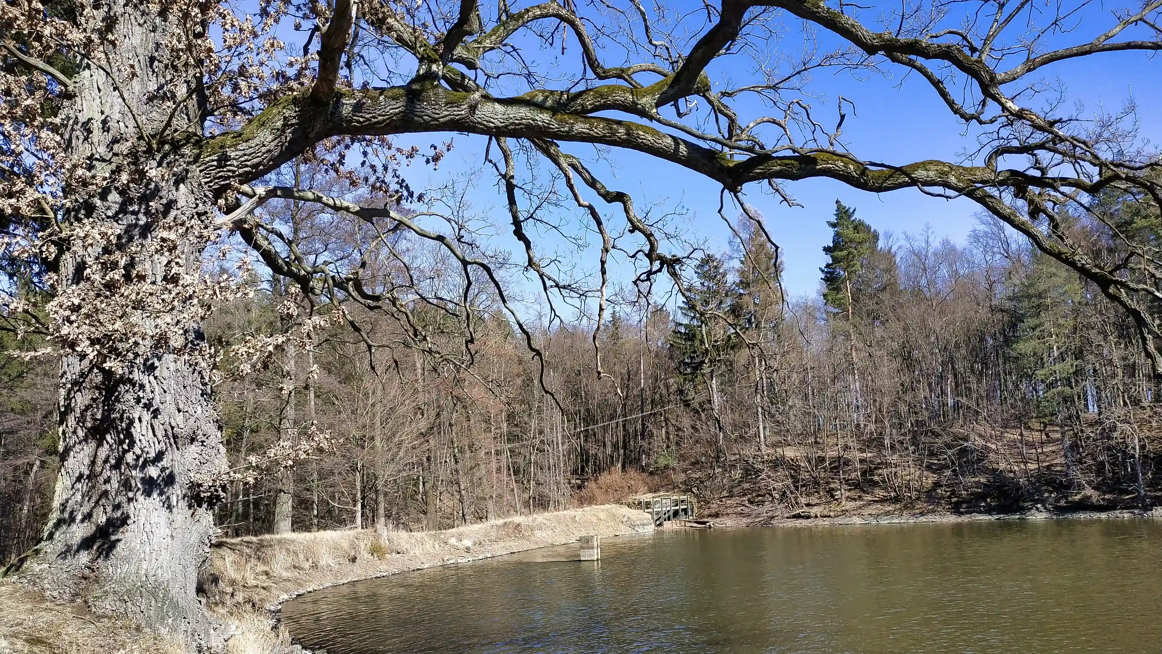 Chválovický rybník