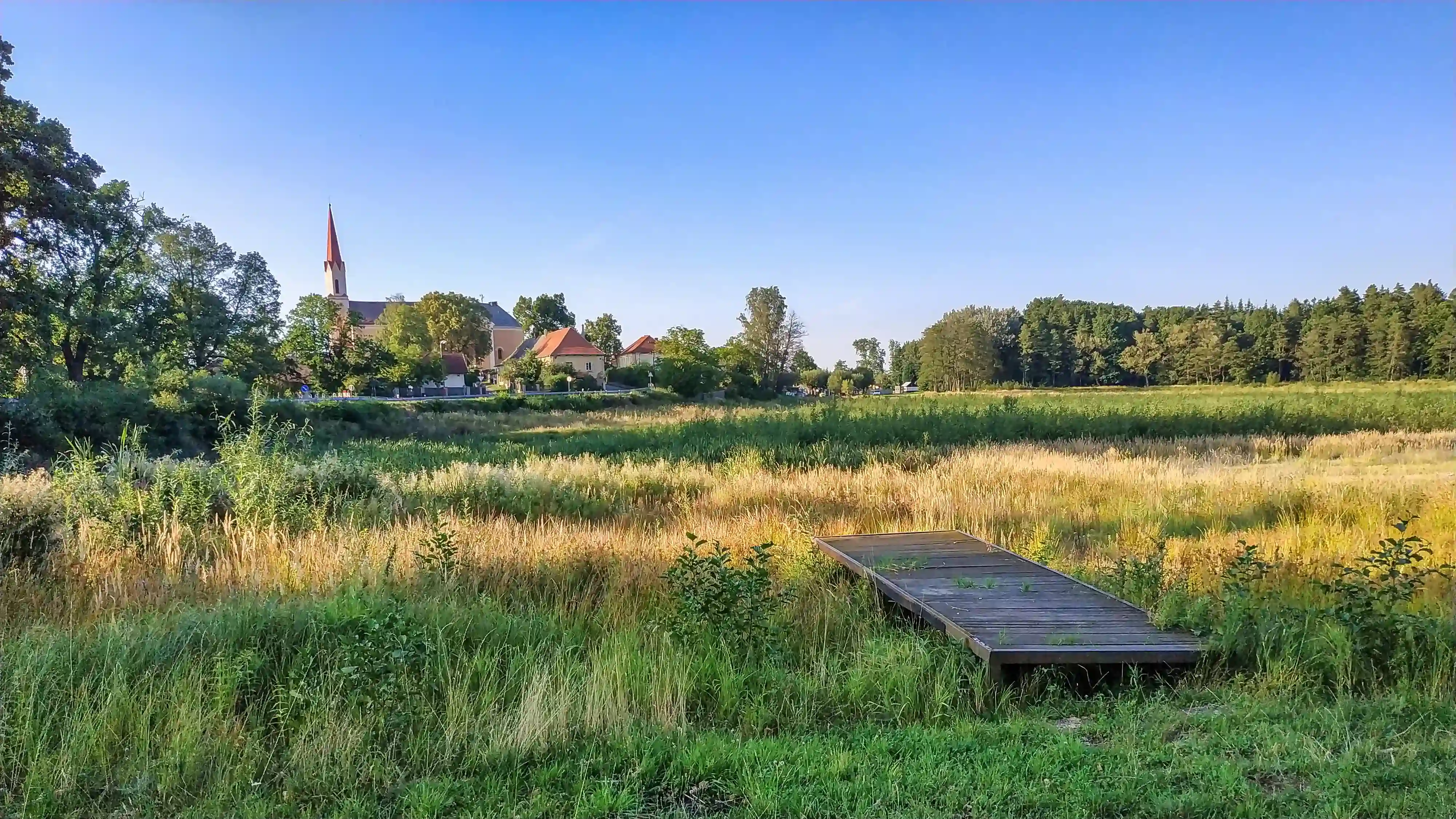 Zbýšov - vypuštěný rybník