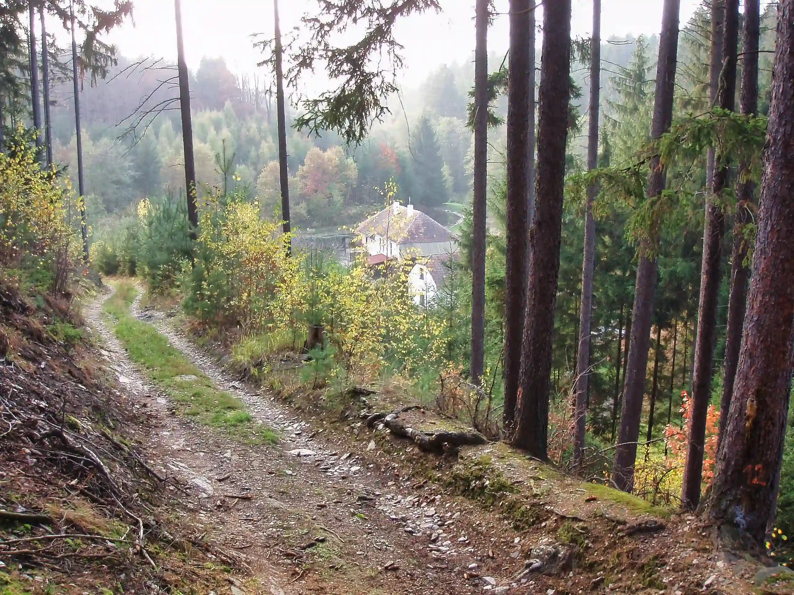 Cesta k Doudovskému mlýnu