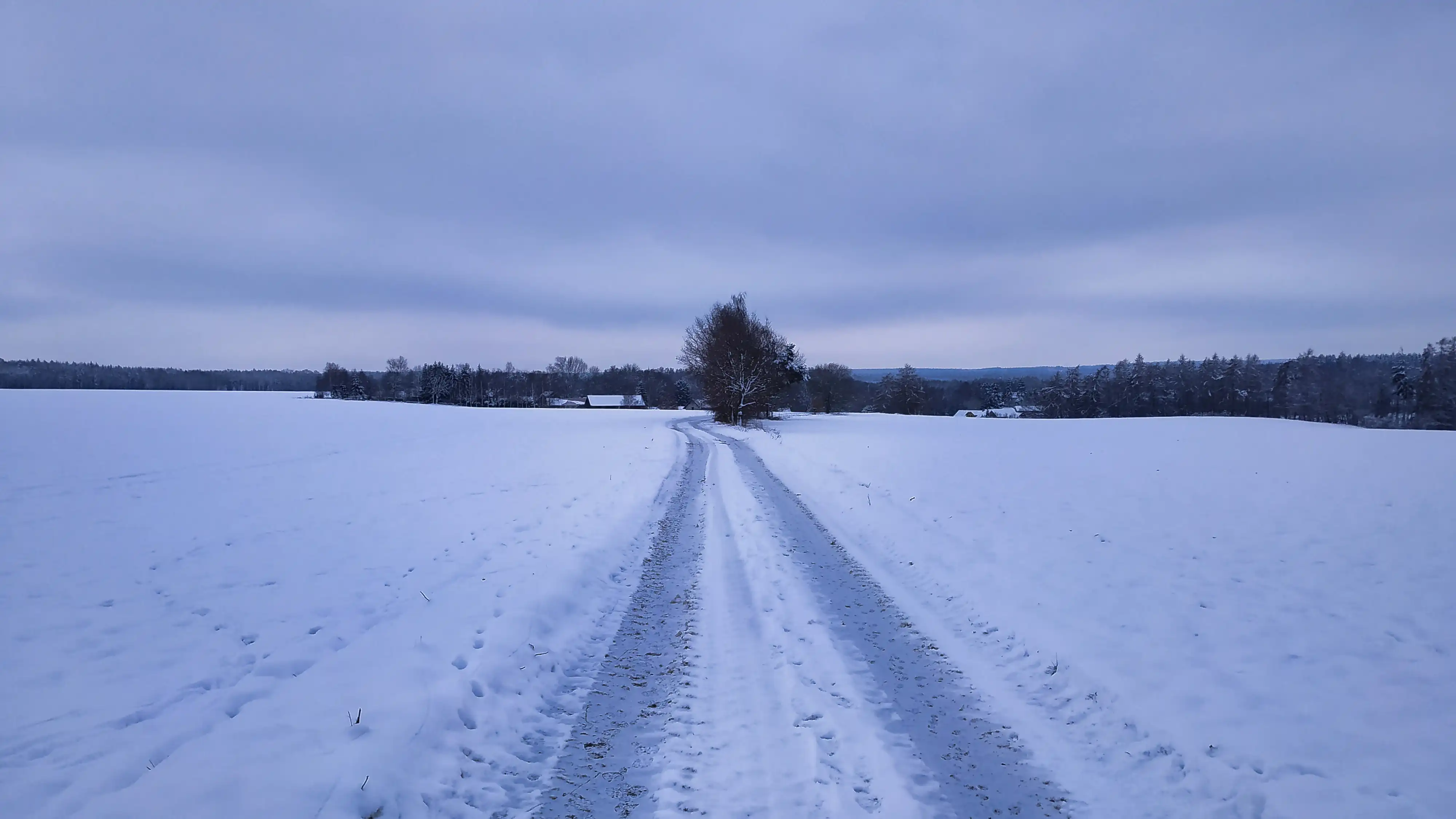 Pohled na Opatovice od lesa
