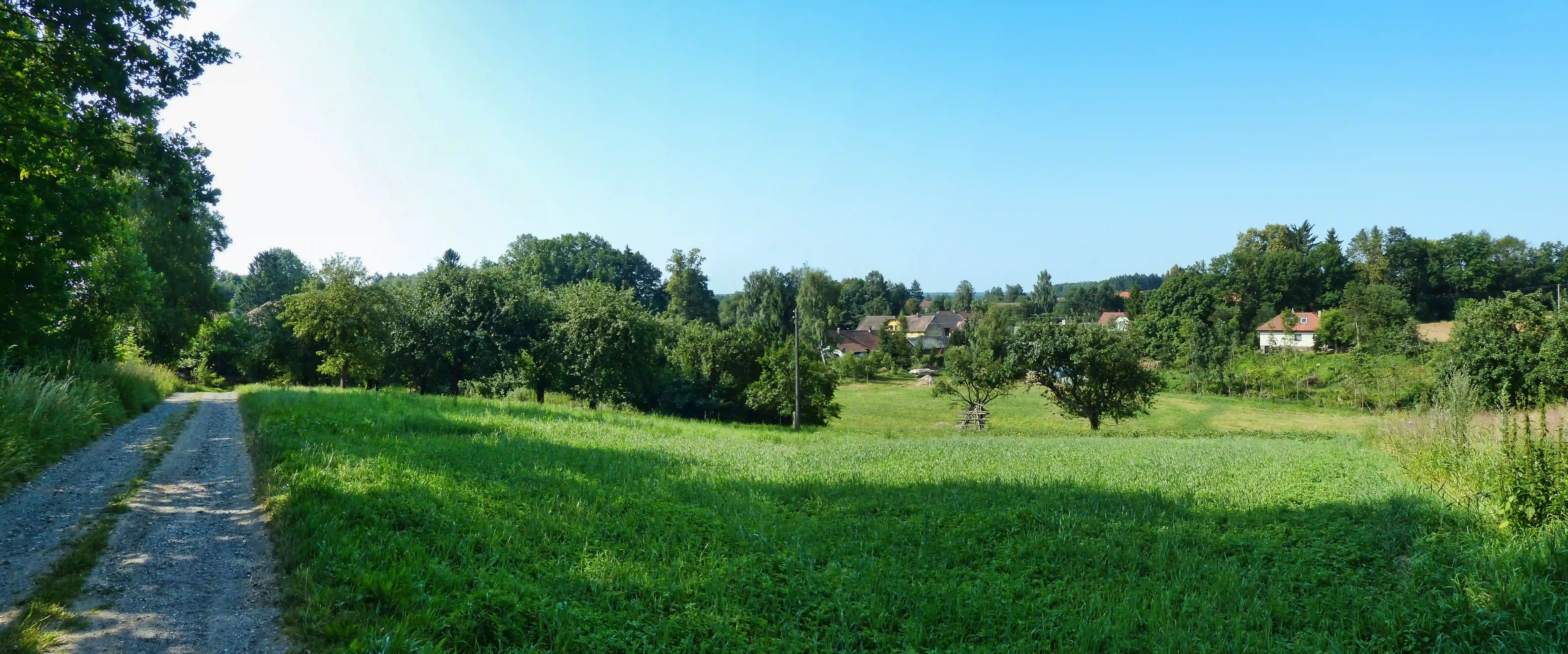 Pohled na Opatovice z cesty k lesu