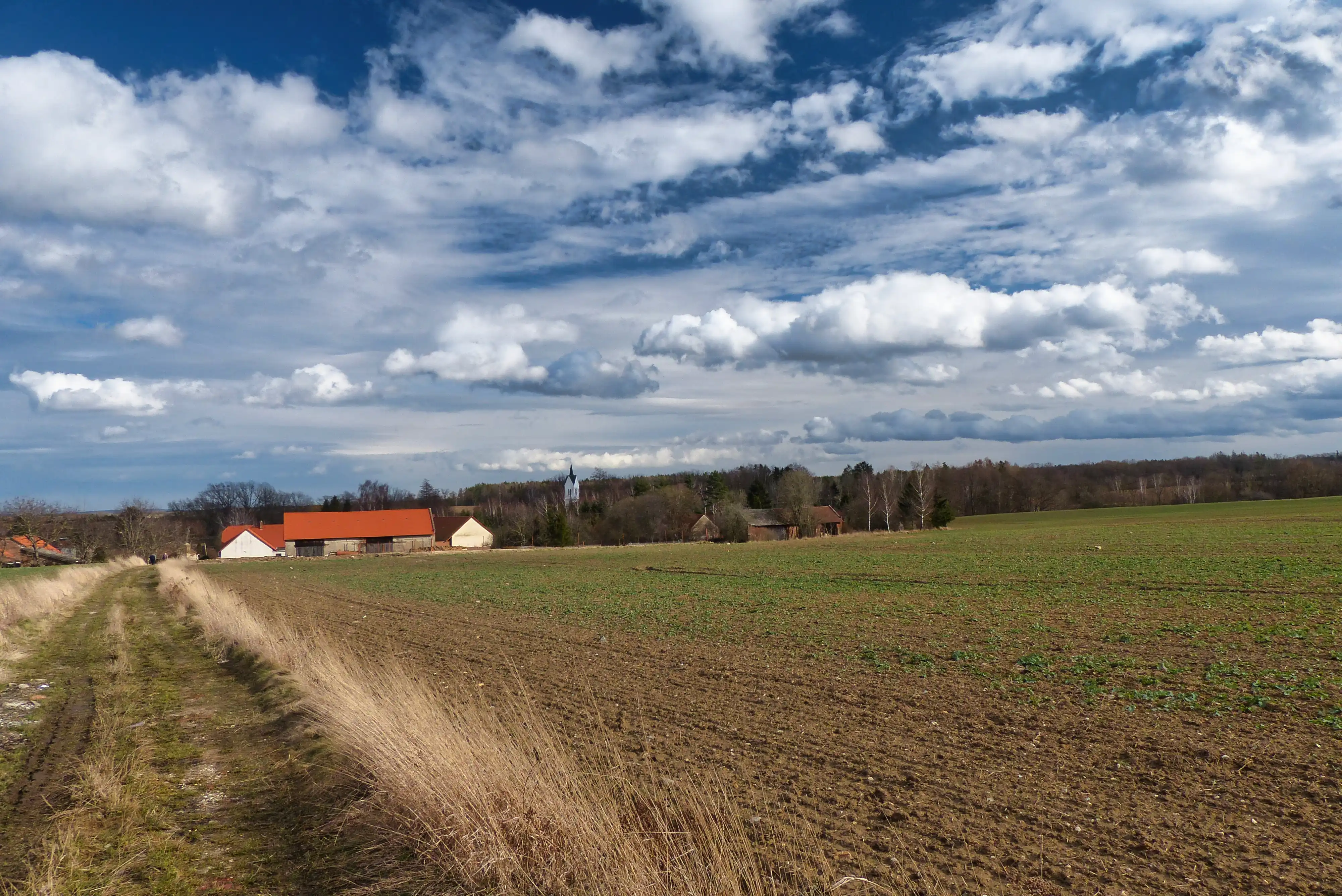 Pohled na Opatovice od Zemanin