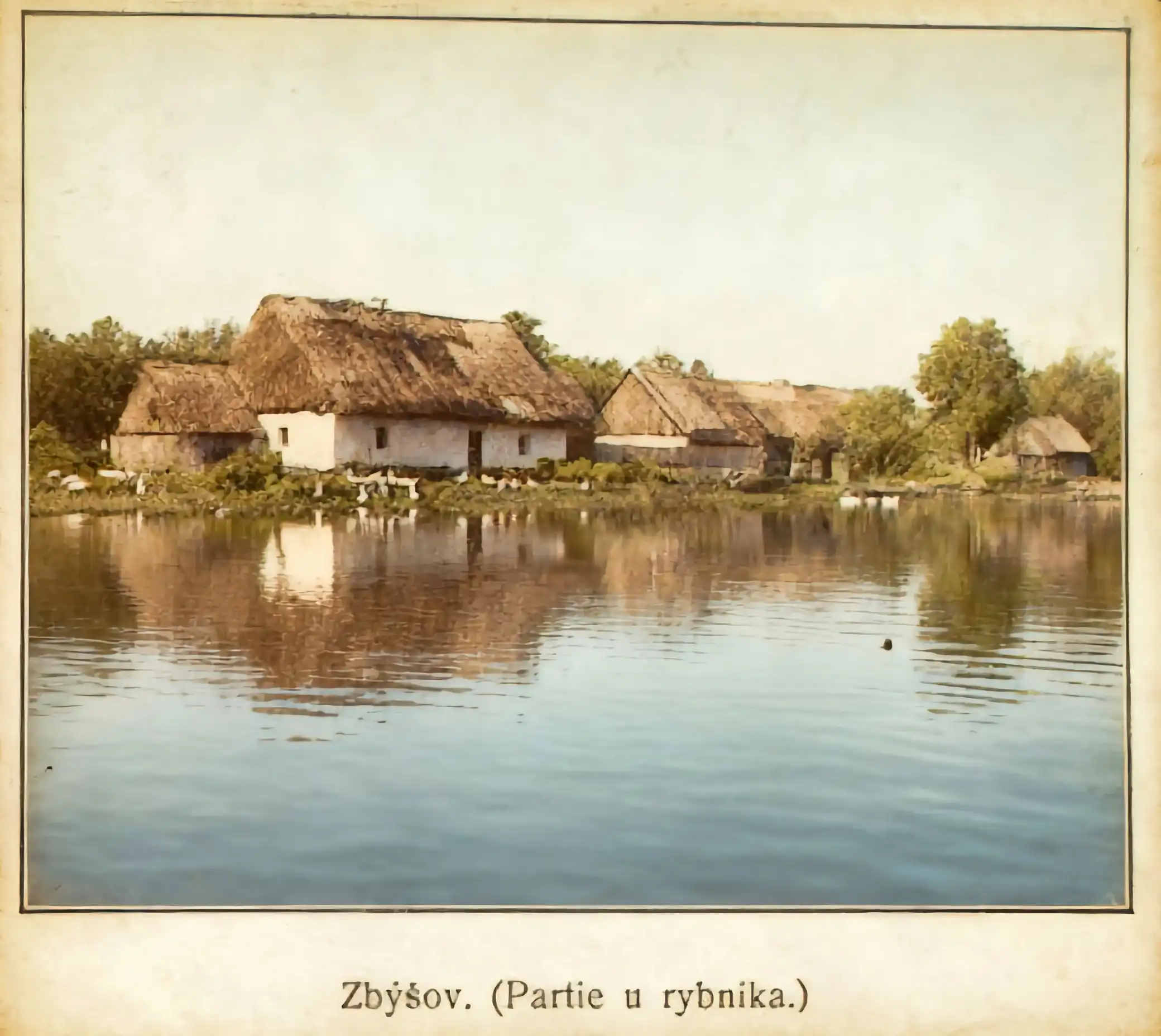 Zbýšov - partie u rybníka