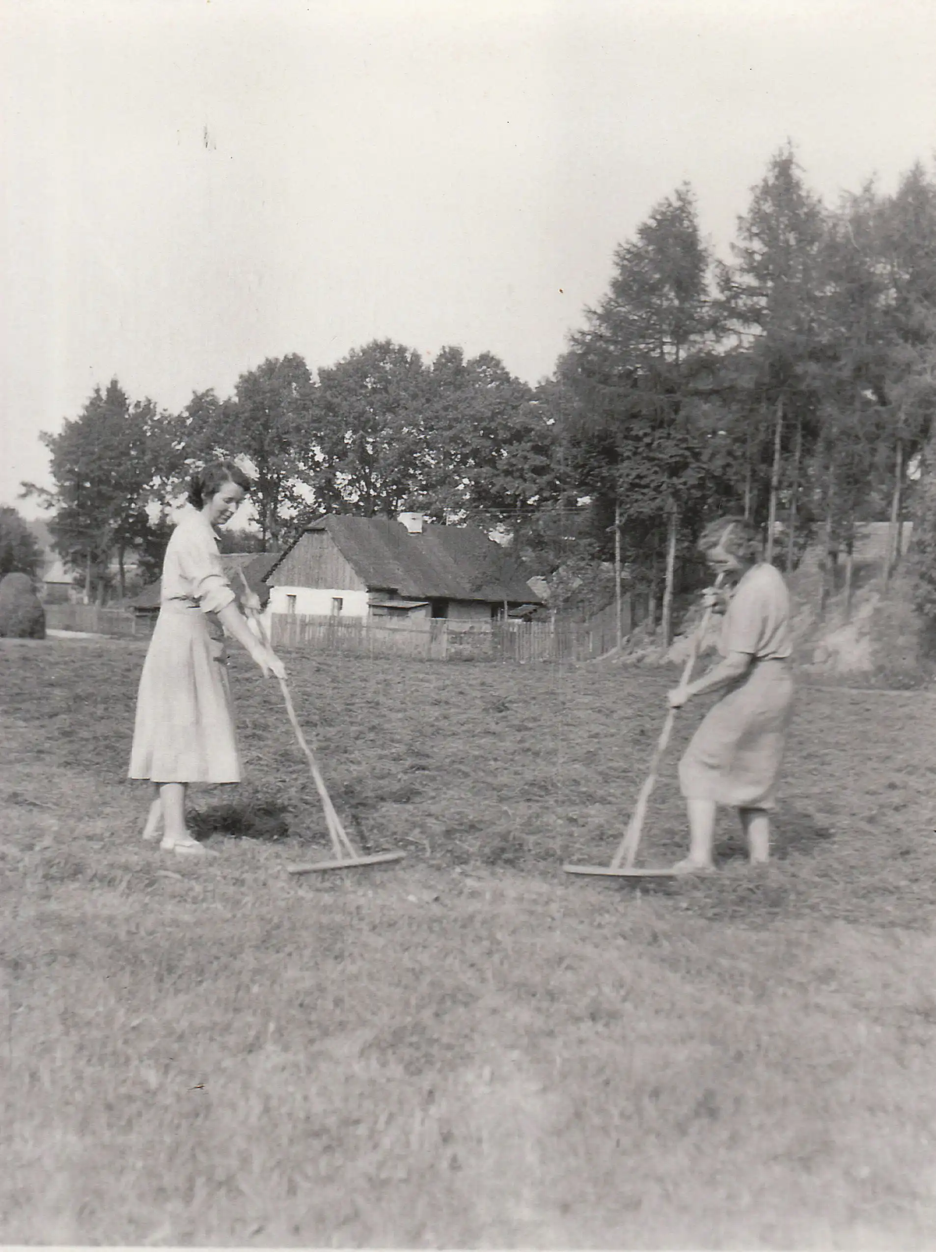 Na louce před chalupou čp.7